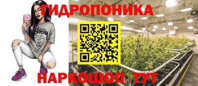 прущие грибы Малоярославец