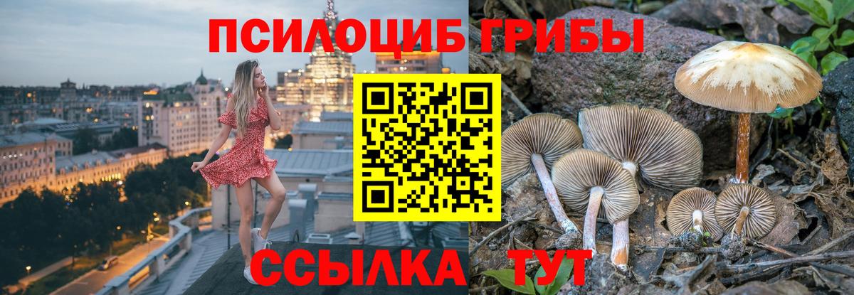Псилоцибиновые грибы мухоморы Владимир